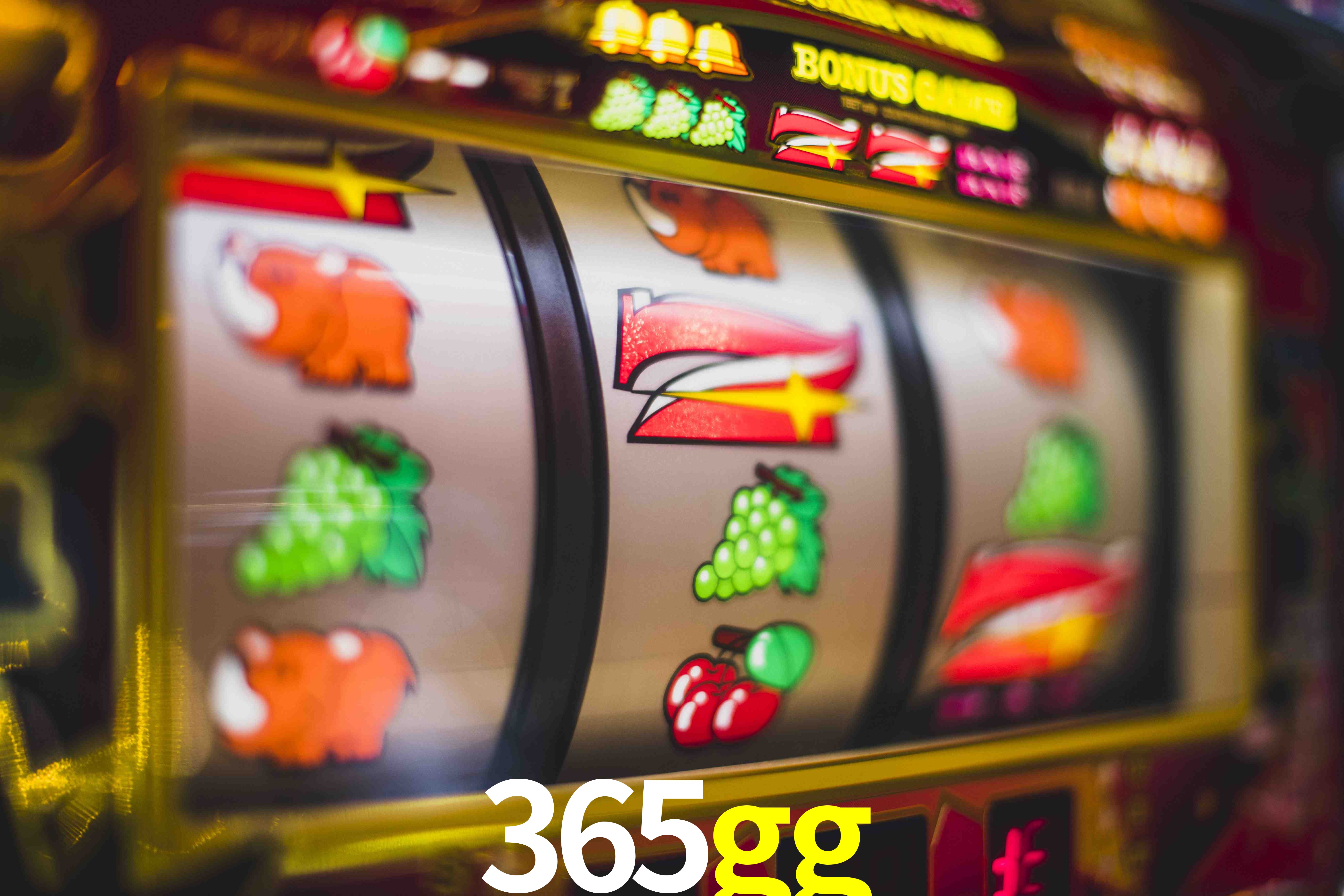 Statistics 365gg